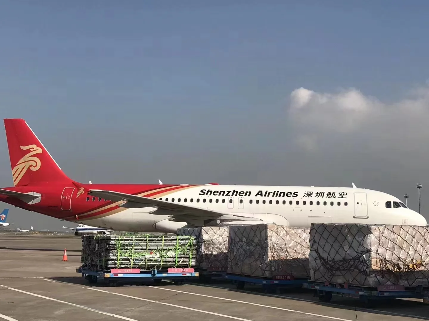 Air freight cargo pallets parked next to aircraft on China airport tarmac